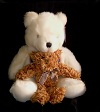 Teddy Bear.JPG